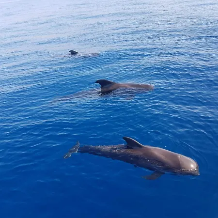 Appartement Vistas View *