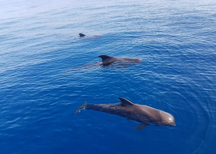 Apartament Vistas View *